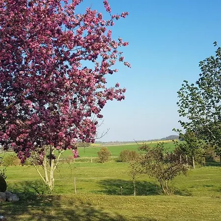 Hof Konietzke Apartment